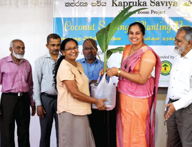 Coconut sapling distribution under the Kapruka Saviya project
